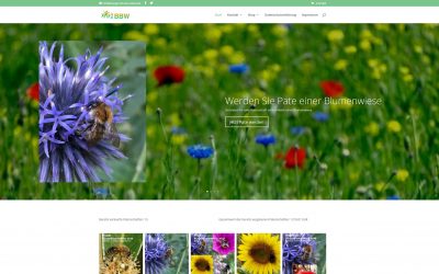 BürgerBlumenWiese